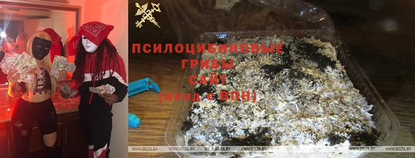 молекула духа Алзамай