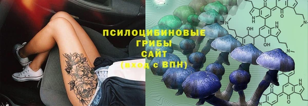 молекула духа Алзамай