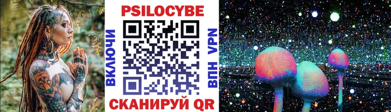 Псилоцибиновые грибы GOLDEN TEACHER  наркотики  Пролетарск 